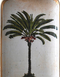 Palmier