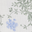 Plumbago