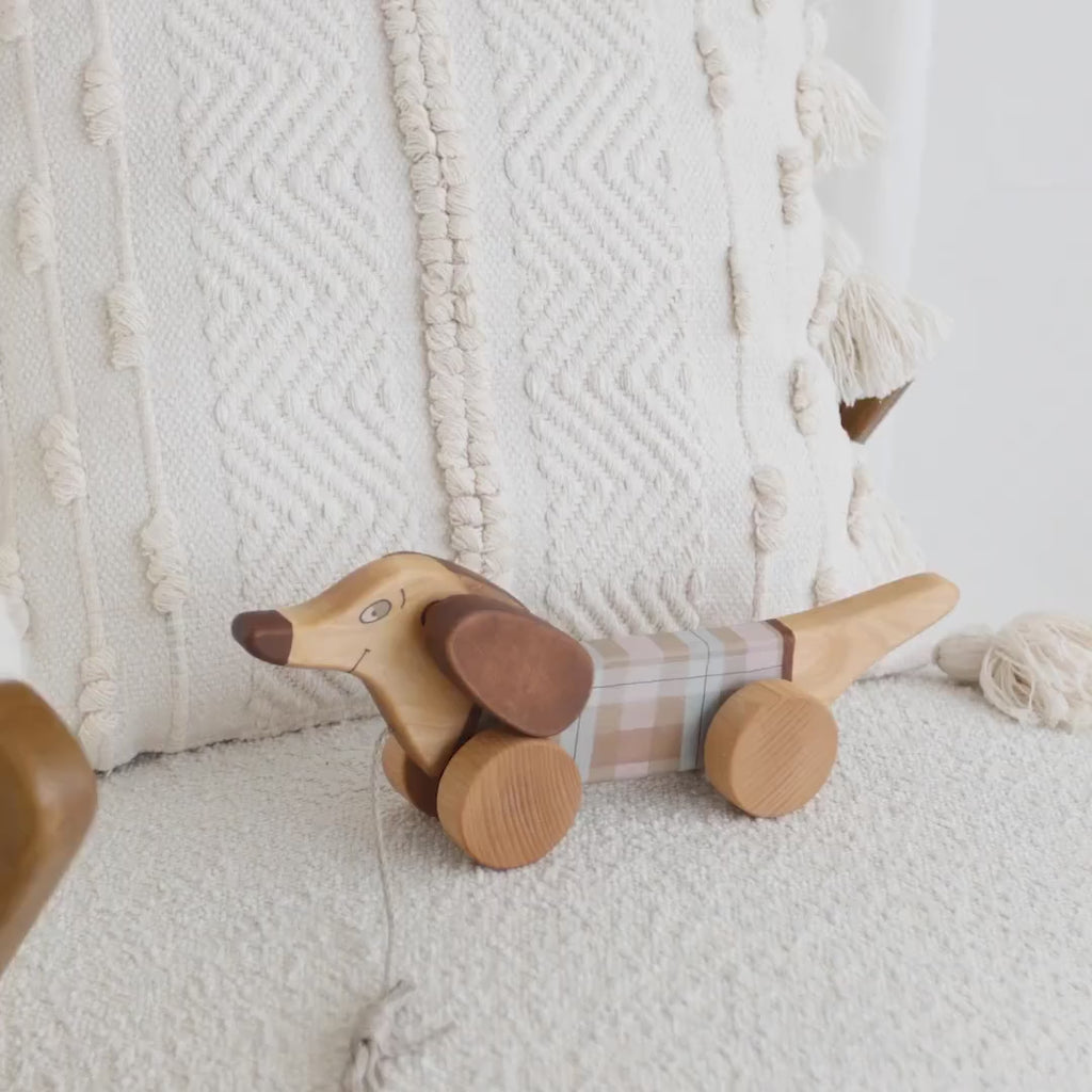 chien saucisse à tirer mobilité enfant Friendly Toys Coton en herbe