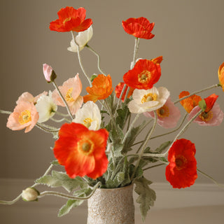 Bouquets Coquelicots Sauvages