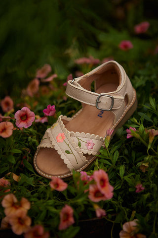 paire de sandales flower pop enfant
petit nord, chez coton en herbe 