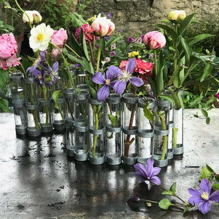 Vase d'avril tséctsté coton en herbe
