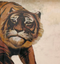 Tigre 