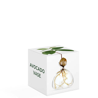 vase a avocat ilex studio chez Coton en Herbe
