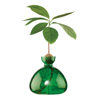 Vase à avocat vert Ilex studio coton en herbe