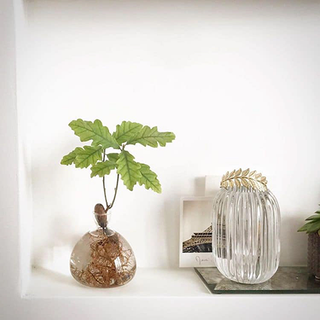 Vase à gland chêne racine visible signé Ilex Studio Chez Coton en Herbe
