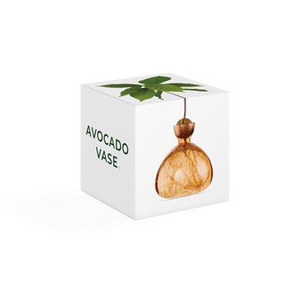 Vase a abricot  chez coton en herbe ilex studio