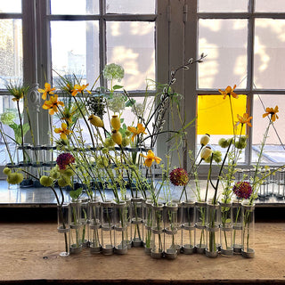 Vase d'avril tsétsté coton en herbe