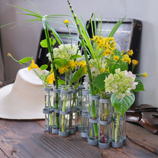 Vase d'avril tsétsté coton en herbe