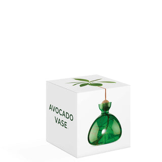 Vase à avocat vert Ilex studio coton en herbe