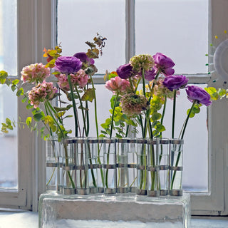 Vase d'avril tsé tsté coton en herbe