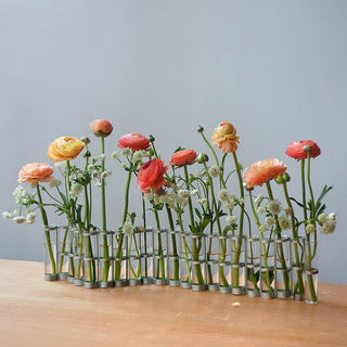 Vase d'avril petit tsétsé coton en herbe